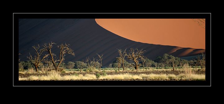 Bild: In der Namib-Wüste