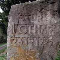 Denkmal zum Sturm Lothar