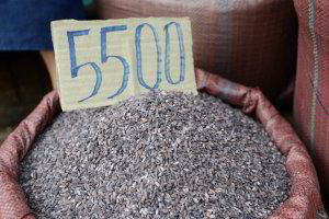 Schwarzer Reis kostet 55 Cent