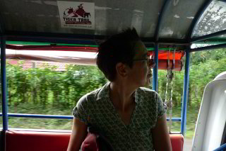 Mit dem Tuktuk zu den Kuang Si Wasserfällen