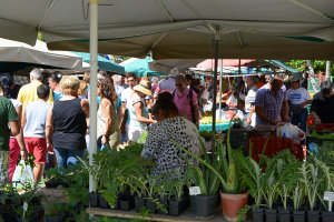 Bild: Auf dem Markt von Ierapetra