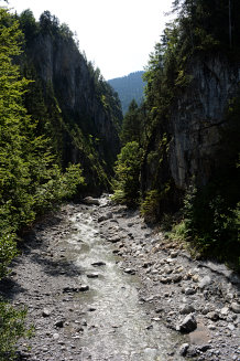 Bild: Wenig Wasser im Bach