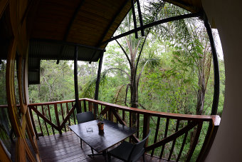 Bild: Unsere Terrasse mitten im Regenwald