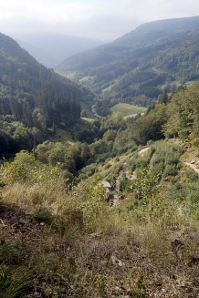 Bild: Zu den Wasserfällen auf dem Wasserfallsteig