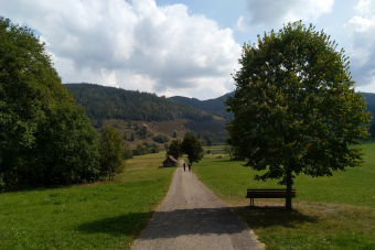 Bild: Auf dem Rückweg