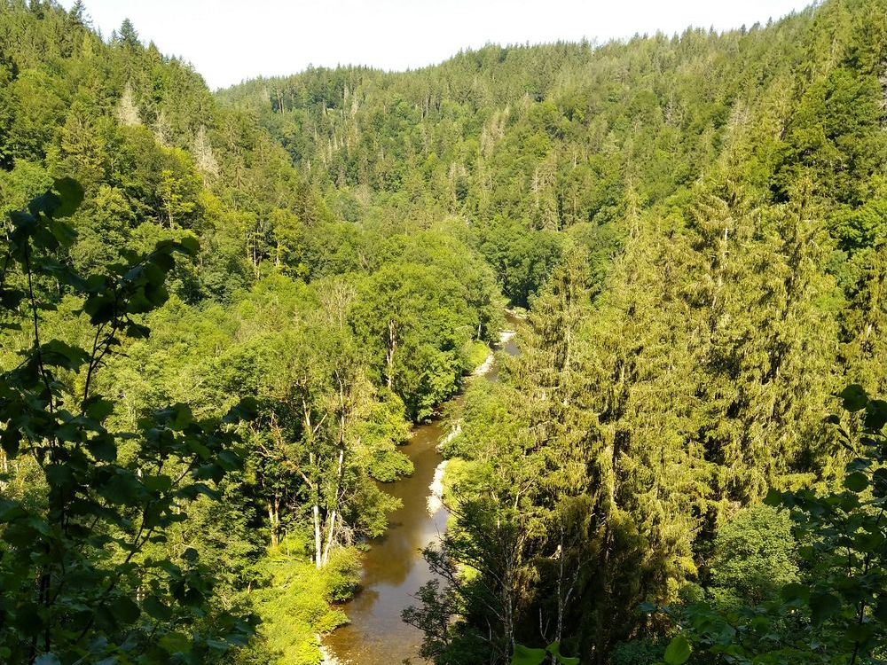 In der Wutachschlucht