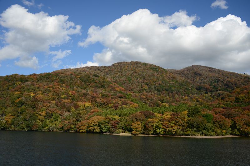 Einfach toll das Herbstlaub - Glück muss man haben