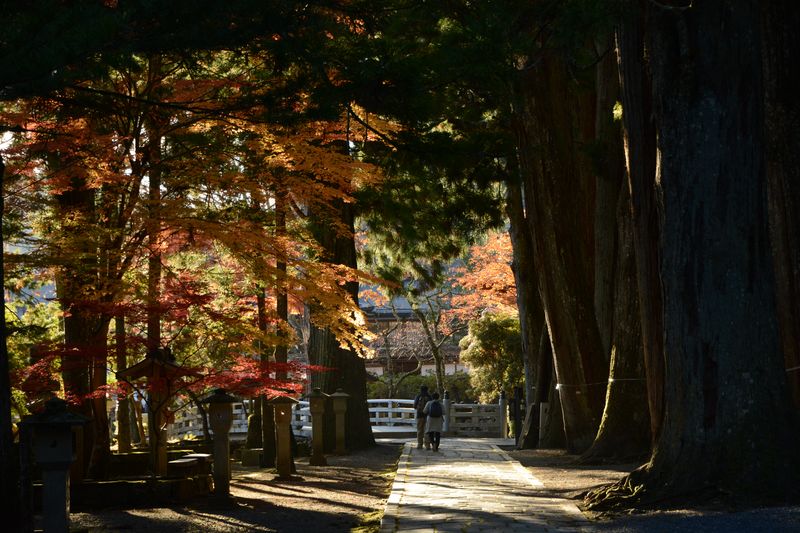 Im größten Friedhof Japans - Oku-no-in