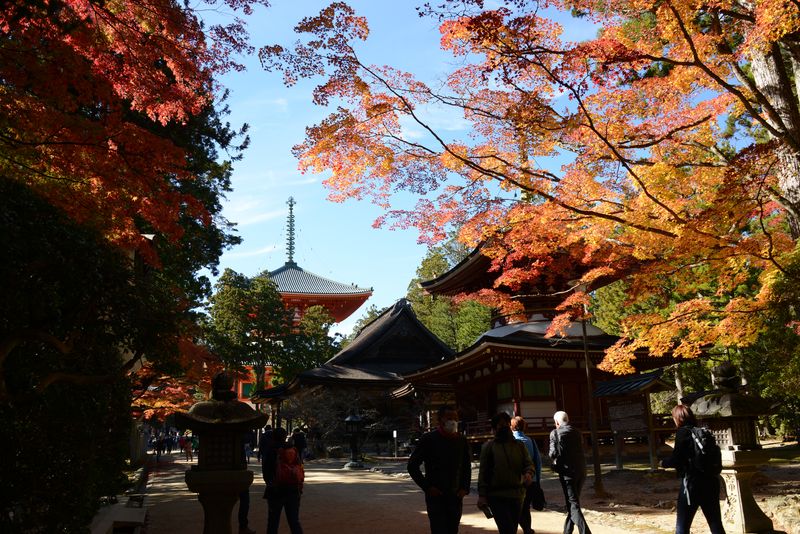 Die große Pagode Kompon Daitō