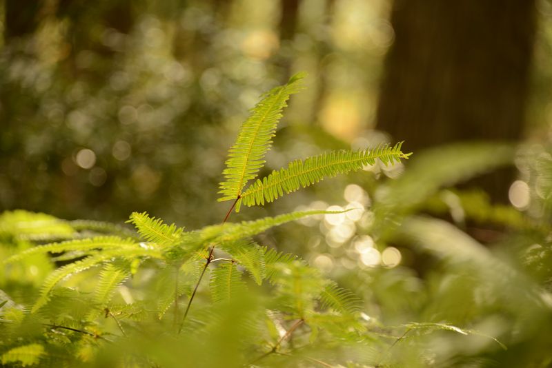 Licht zum fotografieren ist auch manchmal da