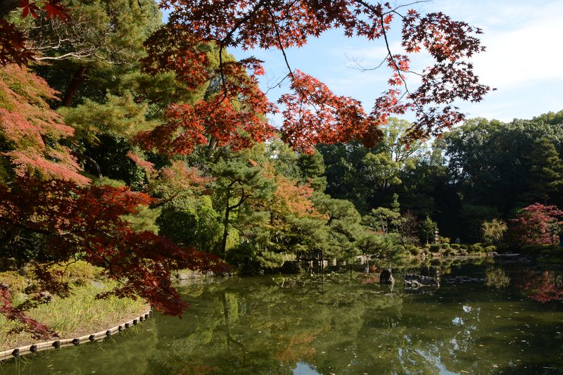 Sonne und Herbstlaub - Klasse