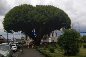 Am zentralen Platz in La Fortuna