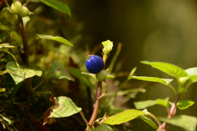 Was für eine Farbe!