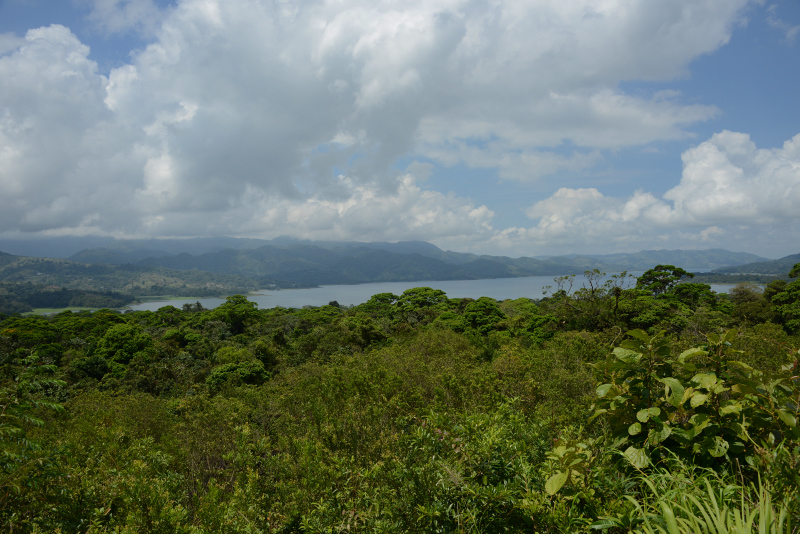 Blick auf den Arenalsee