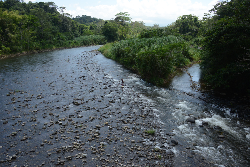 Der Rio Sarapiquí