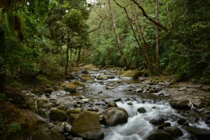 Immer am Bach entlang