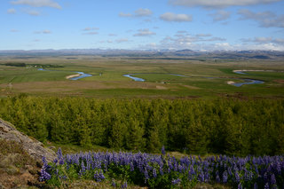 Eine Traumlandschaft