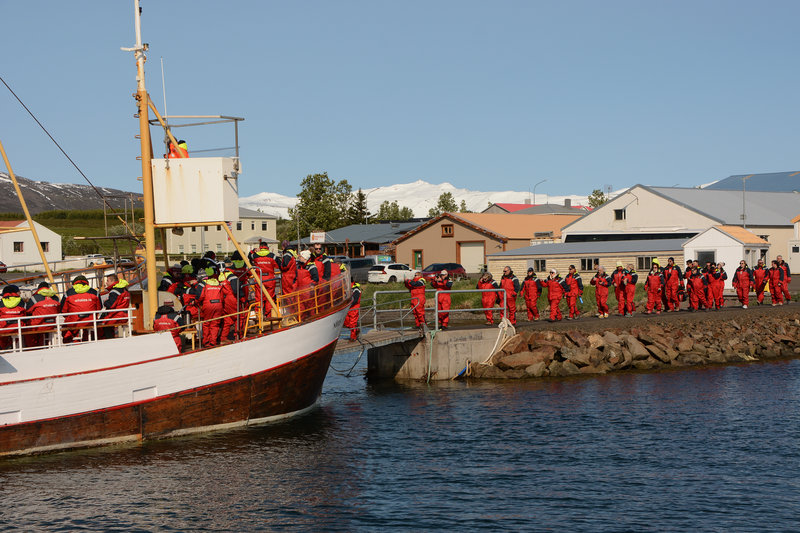 Im Hafen von Hauganes kann man Whalewatching buchen