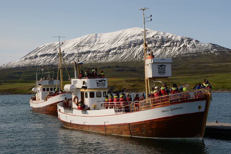 Im Hafen von Hauganes kann man Whalewatching buchen