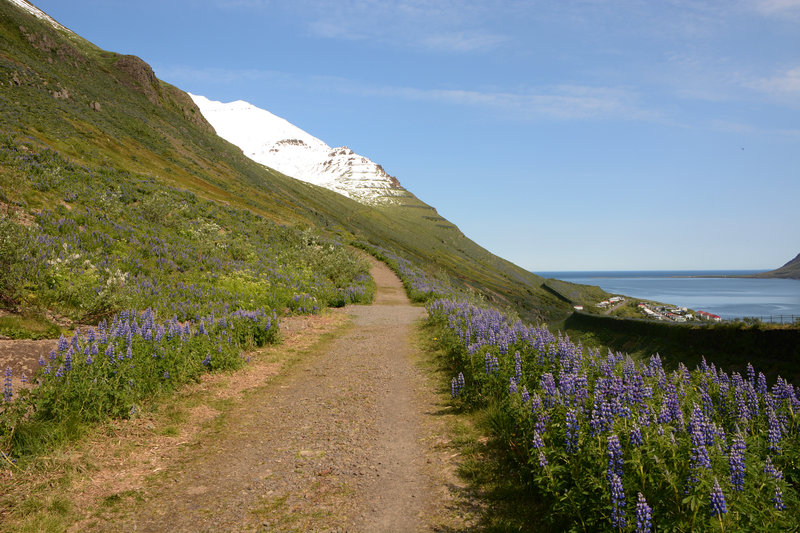 Spaziergang oberhalb Siglufjörður