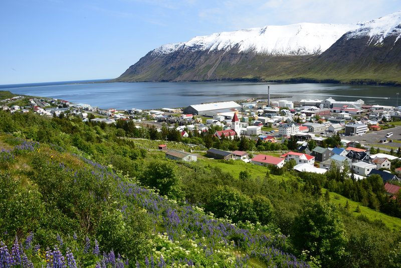 Blick auf Siglufjörður