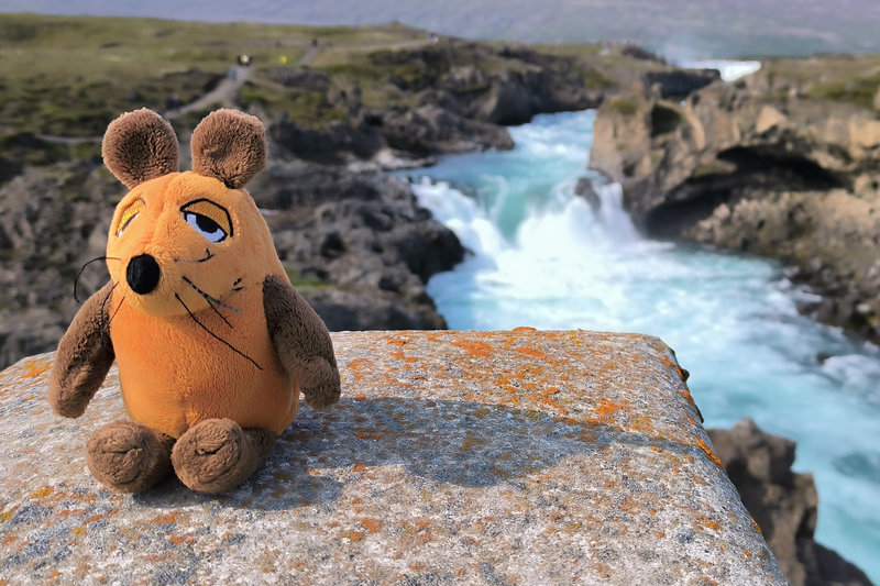 Die Maus am Goðafoss
