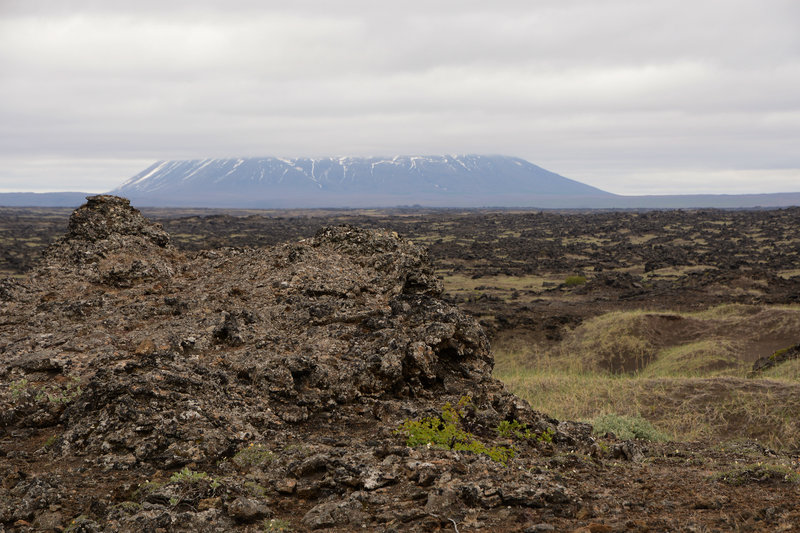 Im Lavafeld Dimmuborgir