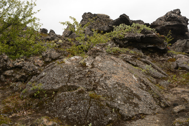 Im Lavafeld Dimmuborgir