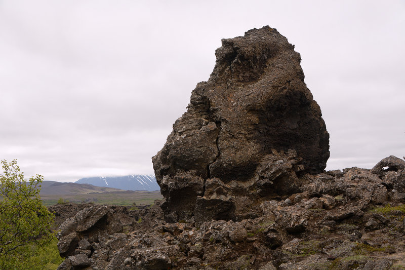 Im Lavafeld Dimmuborgir