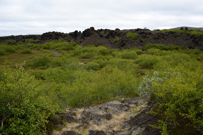 Im Lavafeld Dimmuborgir