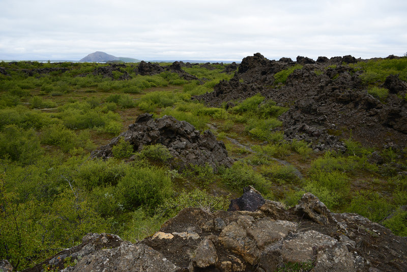 Im Lavafeld Dimmuborgir