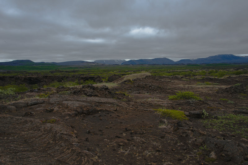 Im Lavafeld Dimmuborgir