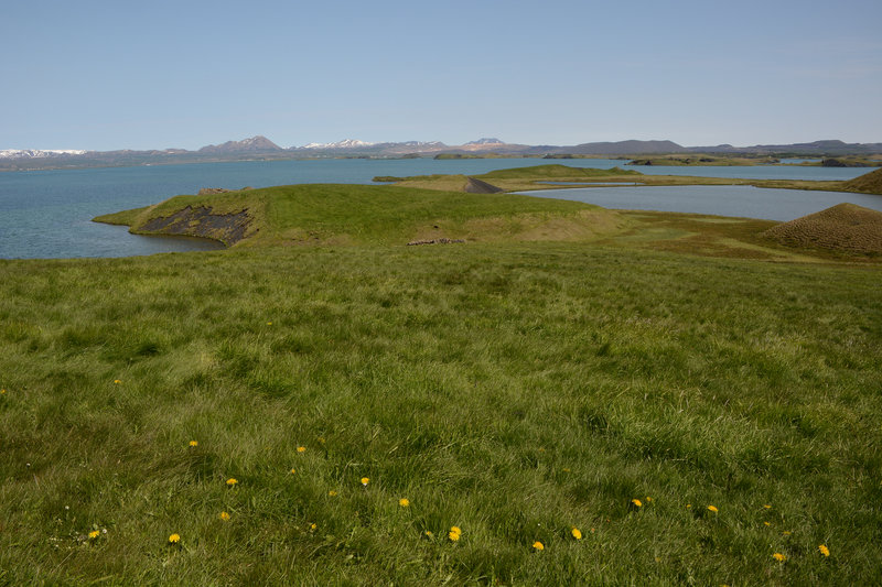 Spaziergänge am Mývatn-See