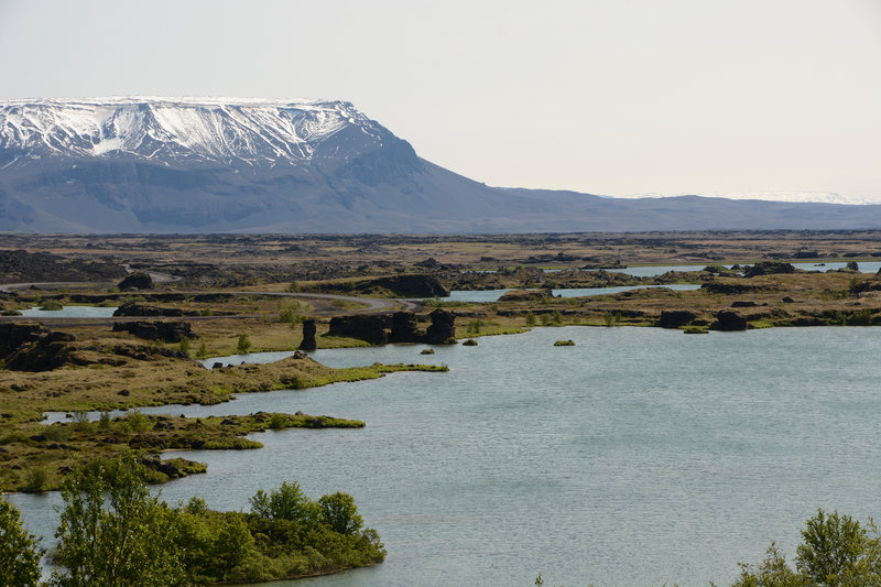 Spaziergänge am Mývatn-See