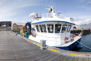 In Djúpivogur am Hafen