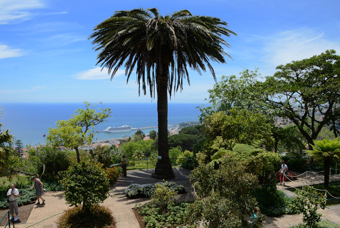 Im Botanischen Garten