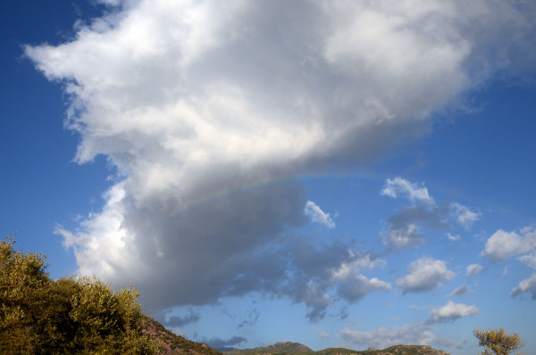 Regenbogen