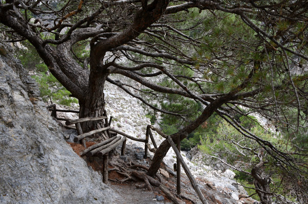 In der Rouwas-Schlucht