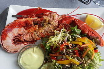 Bild: Der 1/2 Lobster