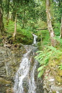 Bild: Wasserfall