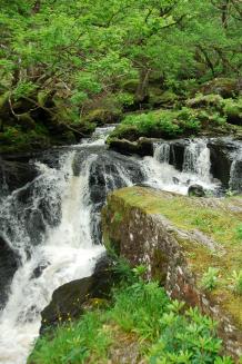 Bild: Wasserfall