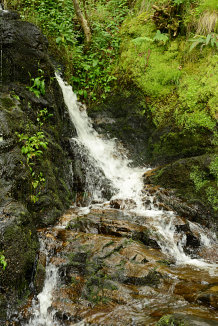 Bild: Wasserfall