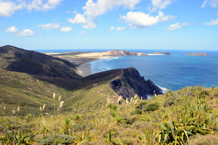 Für die Maori ein Heiliger Ort. Von hier aus wandern die Seelen zurück.