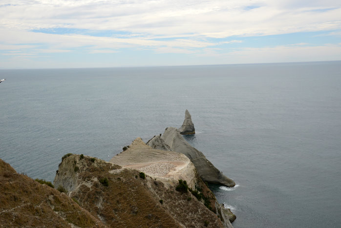 Cape Kidnappers