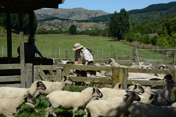 Der Farmer und seine Frau bei der Arbeit