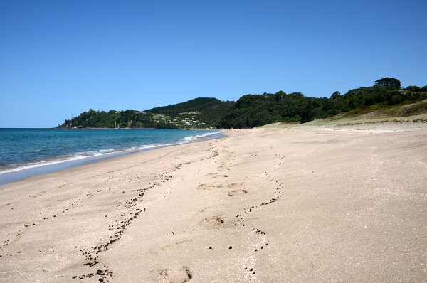 Verrückt. Ansonsten ist der Strand leer.