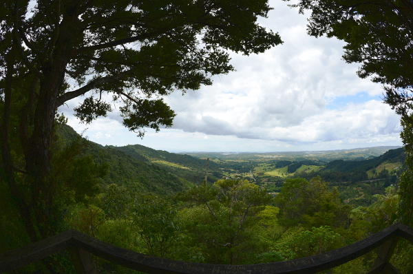 Am Lookout