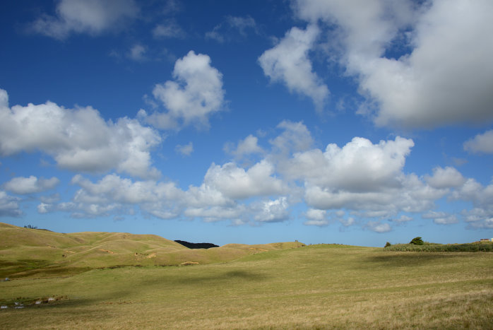 Eine Landschaft wie vom Windowshintergrund