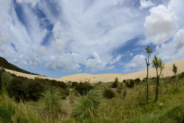 Die große Sanddüne