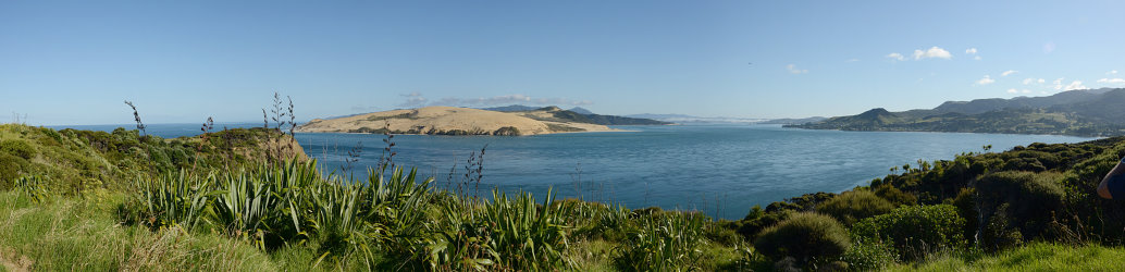 Bild: Morgens früh am Lookout über die Bucht des Hokianga-Harbour